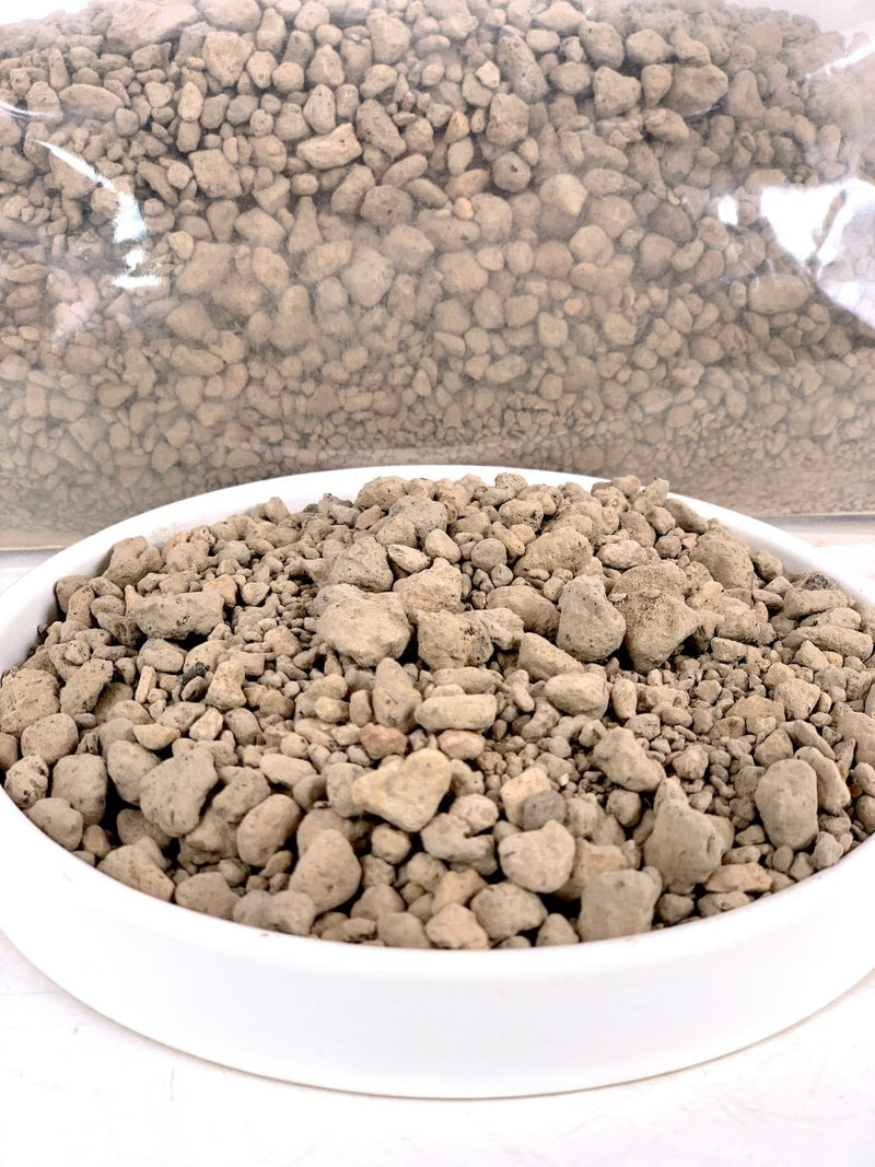 Down To Earth. Pumice Stone - Potting mix - Tumbleweed Plants - Online Plant Delivery Singapore