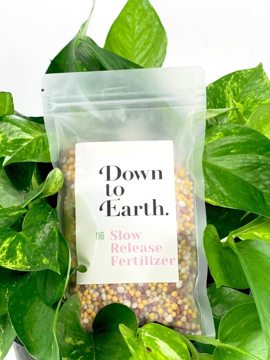 Down To Earth. Slow Release Fertilizer 06 - Potting mix - Tumbleweed Plants - Online Plant Delivery Singapore