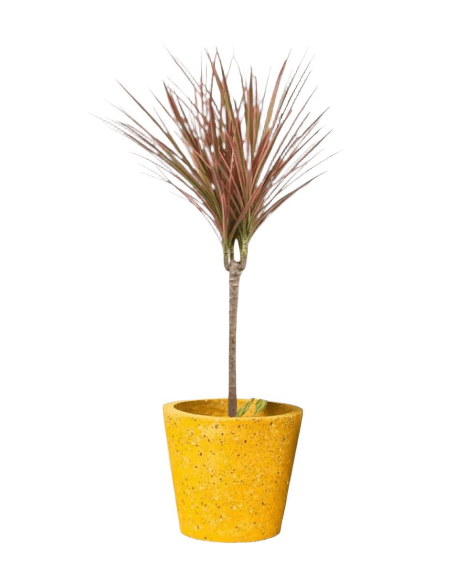 terrazzo pot - golden yellow