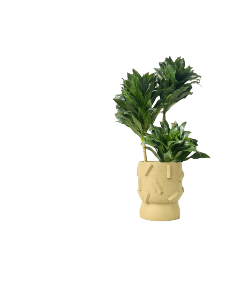 dash planter - sage