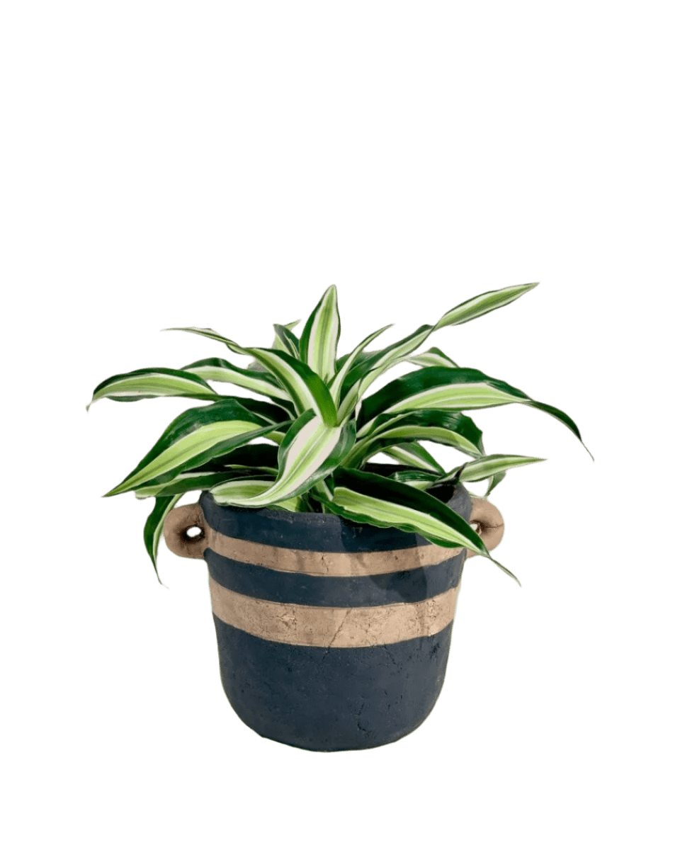 portafino planter - black