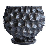 Durian Planter - Planter - 5995558258550 - Tumbleweed Plants - Online Plant Delivery Singapore