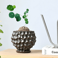 Durian Planter - Planter - 5995558258550 - Tumbleweed Plants - Online Plant Delivery Singapore