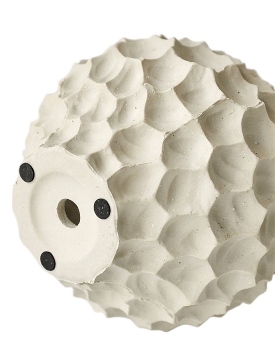 Durian Planter - Planter - 5995558258549 - Tumbleweed Plants - Online Plant Delivery Singapore