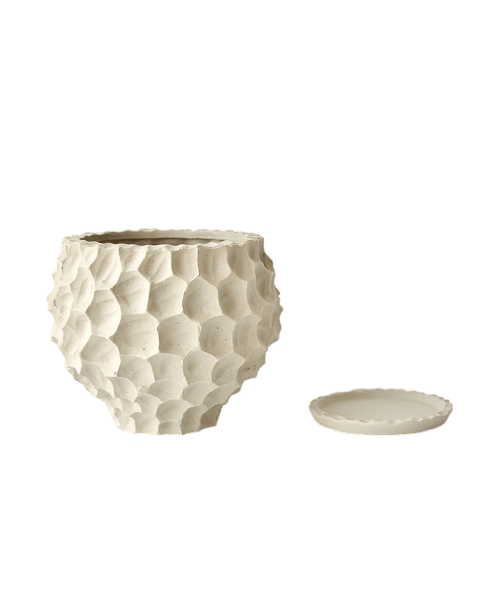 Durian Planter - Planter - 5995558258549 - Tumbleweed Plants - Online Plant Delivery Singapore