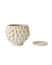 Durian Planter - Planter - 5995558258549 - Tumbleweed Plants - Online Plant Delivery Singapore