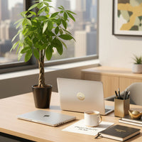 Money Tree Mini