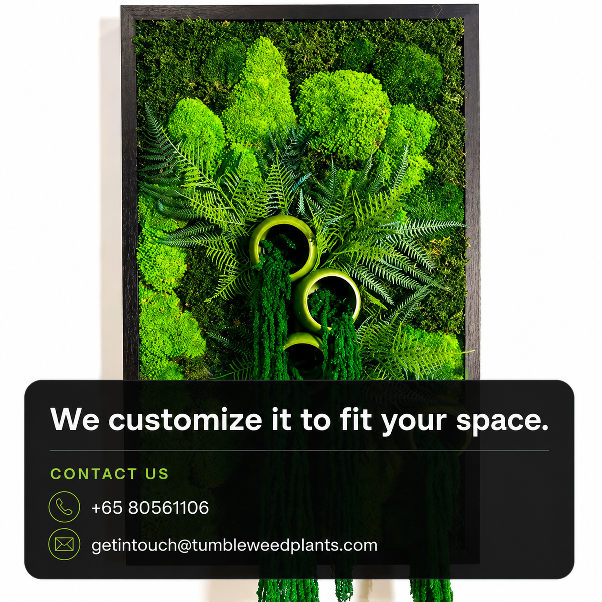 Frame Greens - MOSS.