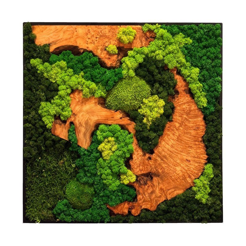 EARTH Frame - Preserved Plants: MOSS. - Moss Frame - 5816310041639 - Tumbleweed Plants - Online Plant Delivery Singapore
