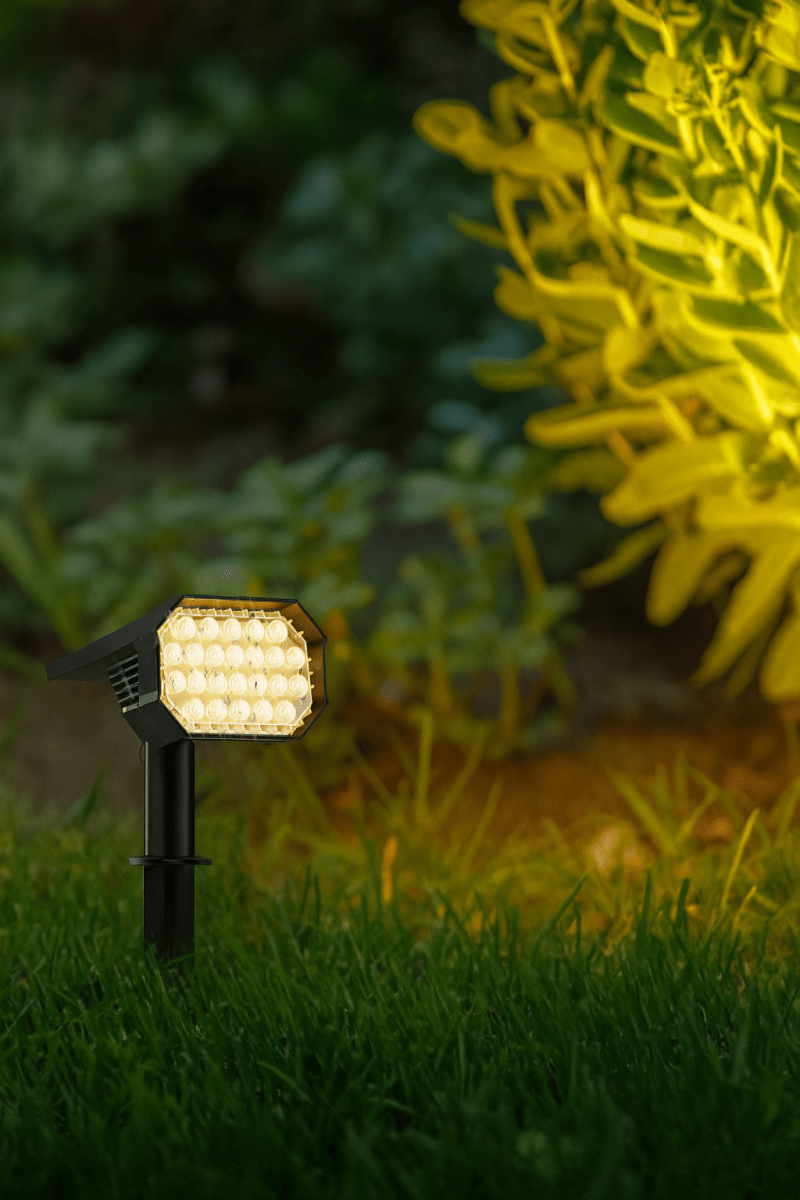 EcoSpot Garden Spike Lights - Garden Lights - 5843612166563 - Tumbleweed Plants - Online Plant Delivery Singapore