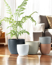 Egg Pot (Medium) - Pots - 4850519936835 - Tumbleweed Plants - Online Plant Delivery Singapore