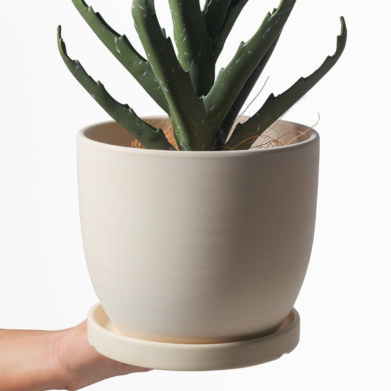 Egg Pot (Medium) - Pots - POTS - EGGP - WHTCM - 6737 - Tumbleweed Plants - Online Plant Delivery Singapore