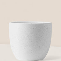 Egg Pot (Small)