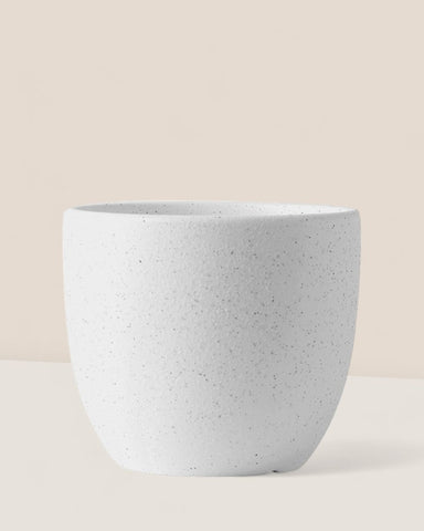 Egg Pot (Small)