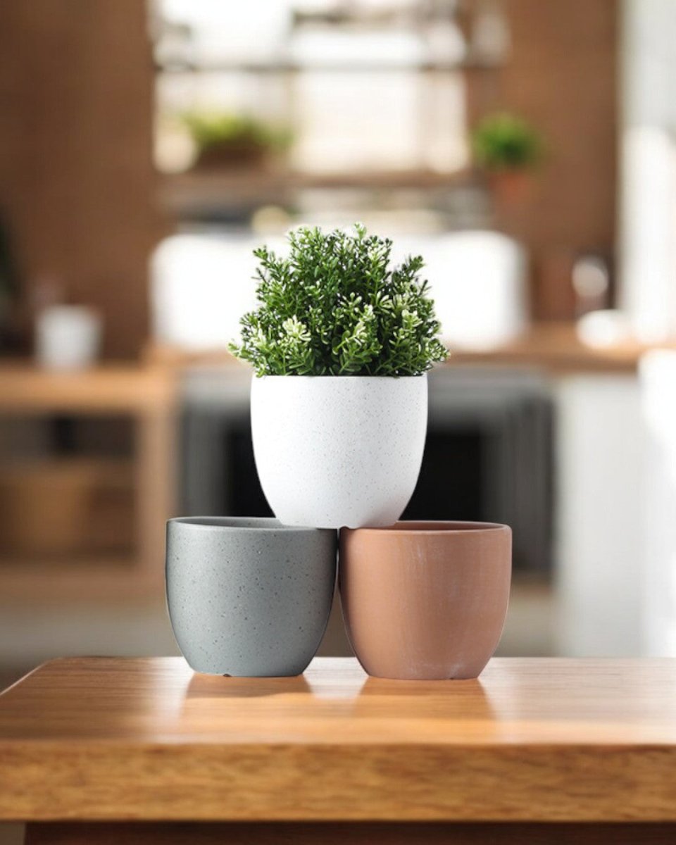 Egg Pot (Small) - Pots - 4850519936830 - Tumbleweed Plants - Online Plant Delivery Singapore