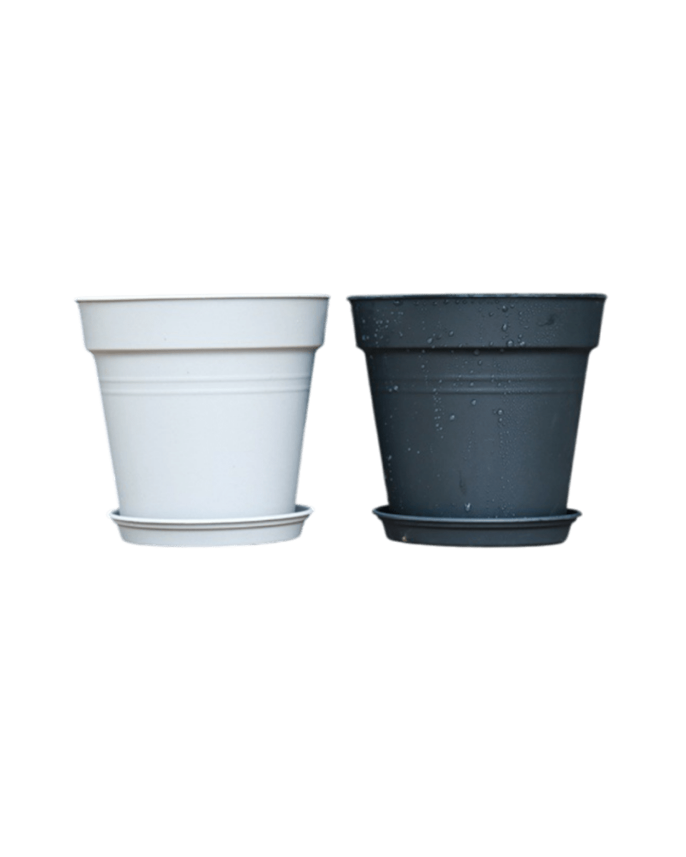 Essential Plastic Pot - Medium - Planter - 5464304794012 - Tumbleweed Plants - Online Plant Delivery Singapore
