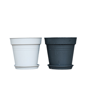 Essential Plastic Pot - Medium - Planter - 5464304794012 - Tumbleweed Plants - Online Plant Delivery Singapore