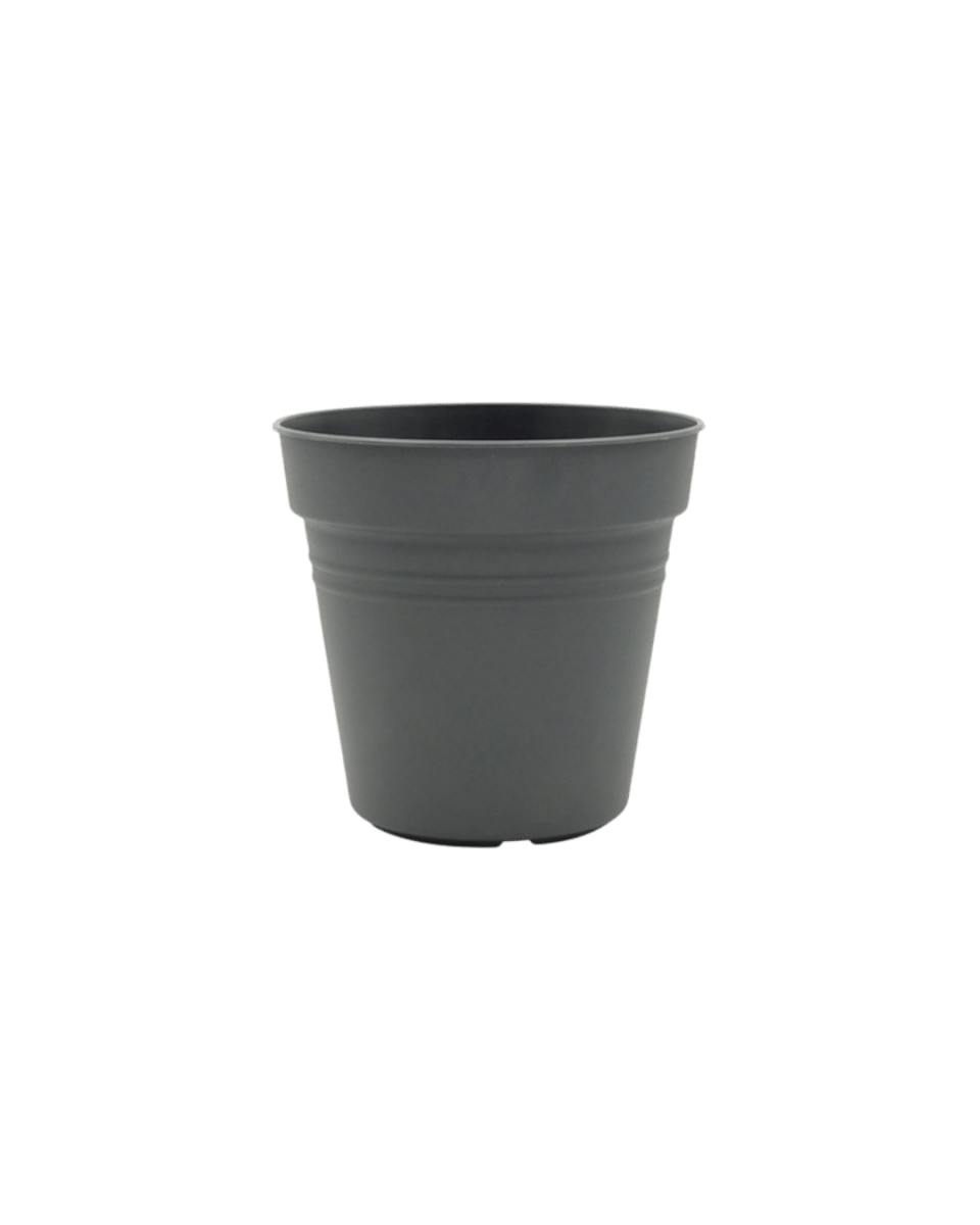 Essential Plastic Pot - Medium - Planter - 5464304794015 - Tumbleweed Plants - Online Plant Delivery Singapore