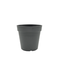 Essential Plastic Pot - Medium - Planter - 5464304794015 - Tumbleweed Plants - Online Plant Delivery Singapore