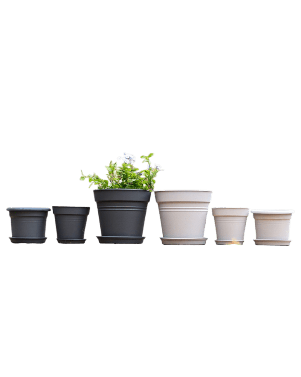 Essential Plastic Pot - Medium - Planter - 5464304794012 - Tumbleweed Plants - Online Plant Delivery Singapore