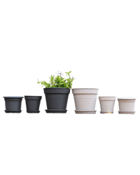 Essential Plastic Pot - Medium - Planter - 5464304794012 - Tumbleweed Plants - Online Plant Delivery Singapore