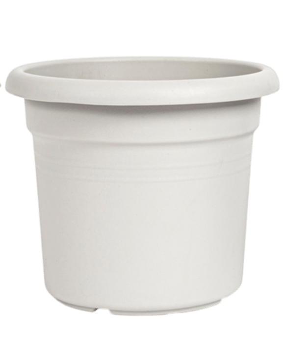 Essential Plastic Pot - Medium - Planter - 5464304794012 - Tumbleweed Plants - Online Plant Delivery Singapore