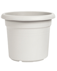 Essential Plastic Pot - Medium - Planter - 5464304794012 - Tumbleweed Plants - Online Plant Delivery Singapore