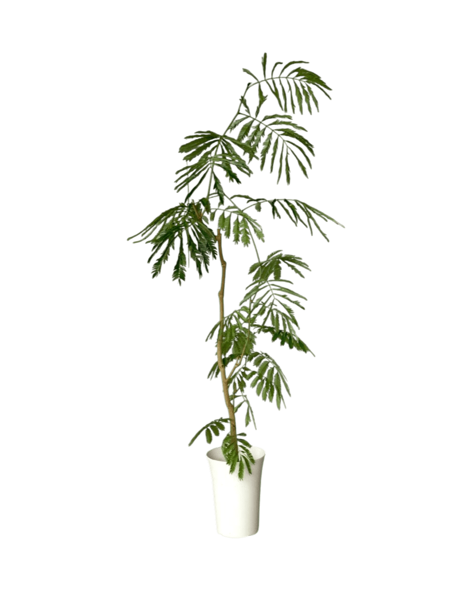 Grow Pot