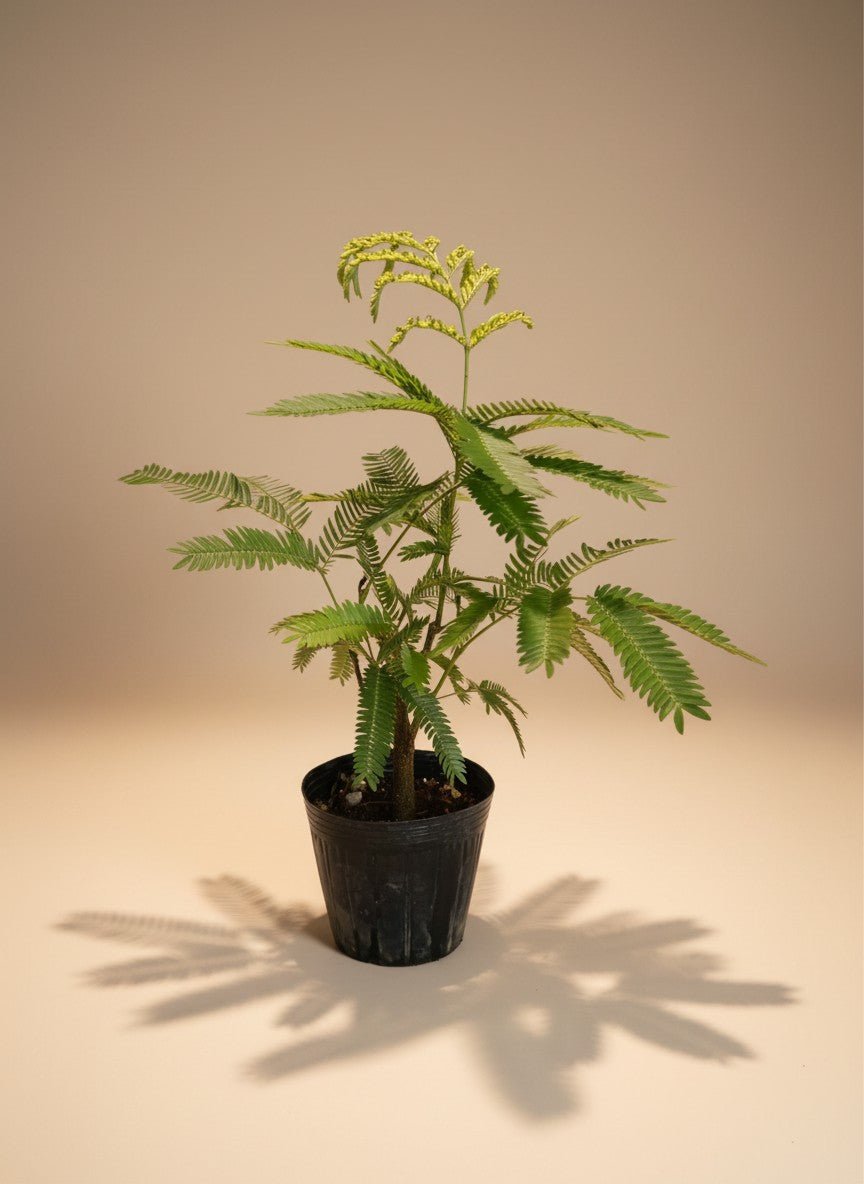 Grow Pot