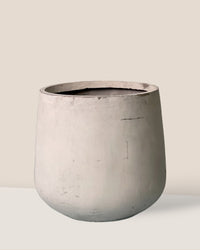 Extra Large Goblet Pot - grey - Pot - Tumbleweed Plants - Online Plant Delivery Singapore