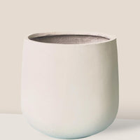 Extra Large Goblet Pot