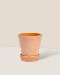 Extra Small Terracotta Pot with Tray - 5cm - Pot - Tumbleweed Plants - Online Plant Delivery Singapore