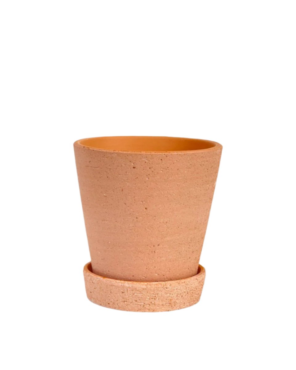 Extra Small Terracotta Pot with Tray - 5cm - Pots - Tumbleweed Plants - Online Plant Delivery Singapore