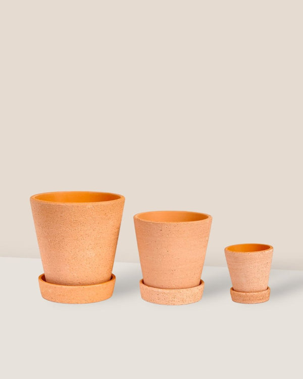 Extra Small Terracotta Pot with Tray - 9cm - Pot - Tumbleweed Plants - Online Plant Delivery Singapore