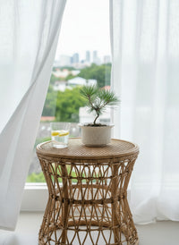 Miniature Japanese Black Pine/Pinus Thunbergii