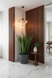 Sansevieria Zeylanica - Potted plant -  Tumbleweed Plants