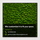 Moss Frame 4 - Customizable