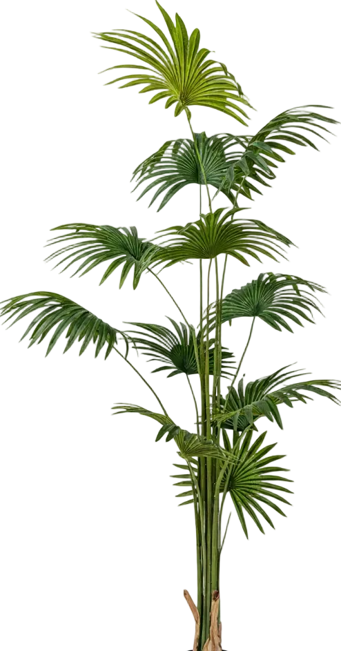 Bamboo Palm (Life-life Artificial)