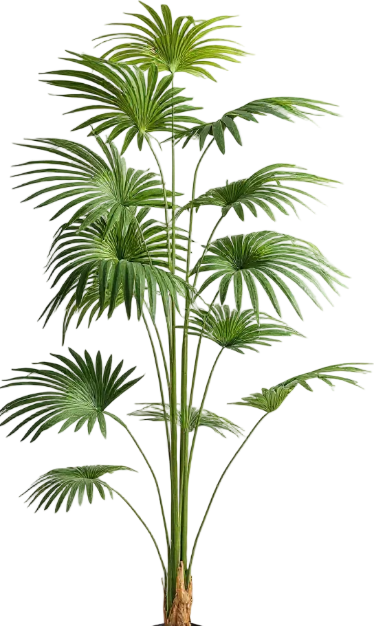 Bamboo Palm (Life-life Artificial)