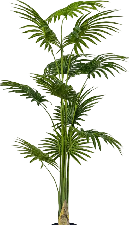 Bamboo Palm (Life-life Artificial)