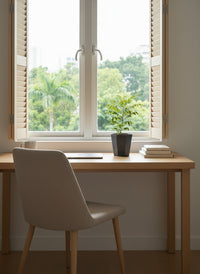 Medium Curry leaf Plant - Potted plant -  Tumbleweed Plants