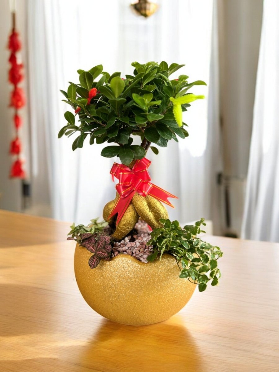 Ficus Ginseng Bonsai Arrangement in Golden Egg - Potted plant - POTT - FICU - 6638 - Tumbleweed Plants - Online Plant Delivery Singapore