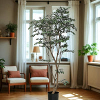 Ficus - Real-Trunk Artificial