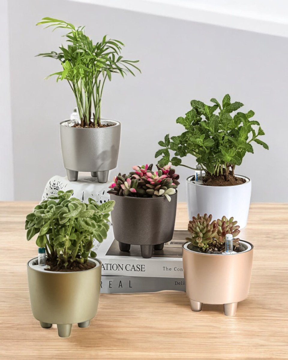 Flow HydroEase Pot - XS - Pots - 5509379880193 - Tumbleweed Plants - Online Plant Delivery Singapore