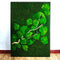 Frame Greens - Preserved Plants: MOSS.