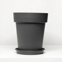 GAL Plastic Pots - Large - Pots - 5448654919104 - 01 - Tumbleweed Plants - Online Plant Delivery Singapore