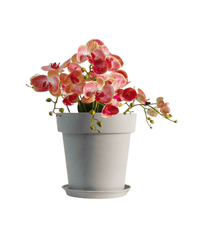 GAL Plastic Pots - Large - Pots - 5448654919104 - 01 - Tumbleweed Plants - Online Plant Delivery Singapore