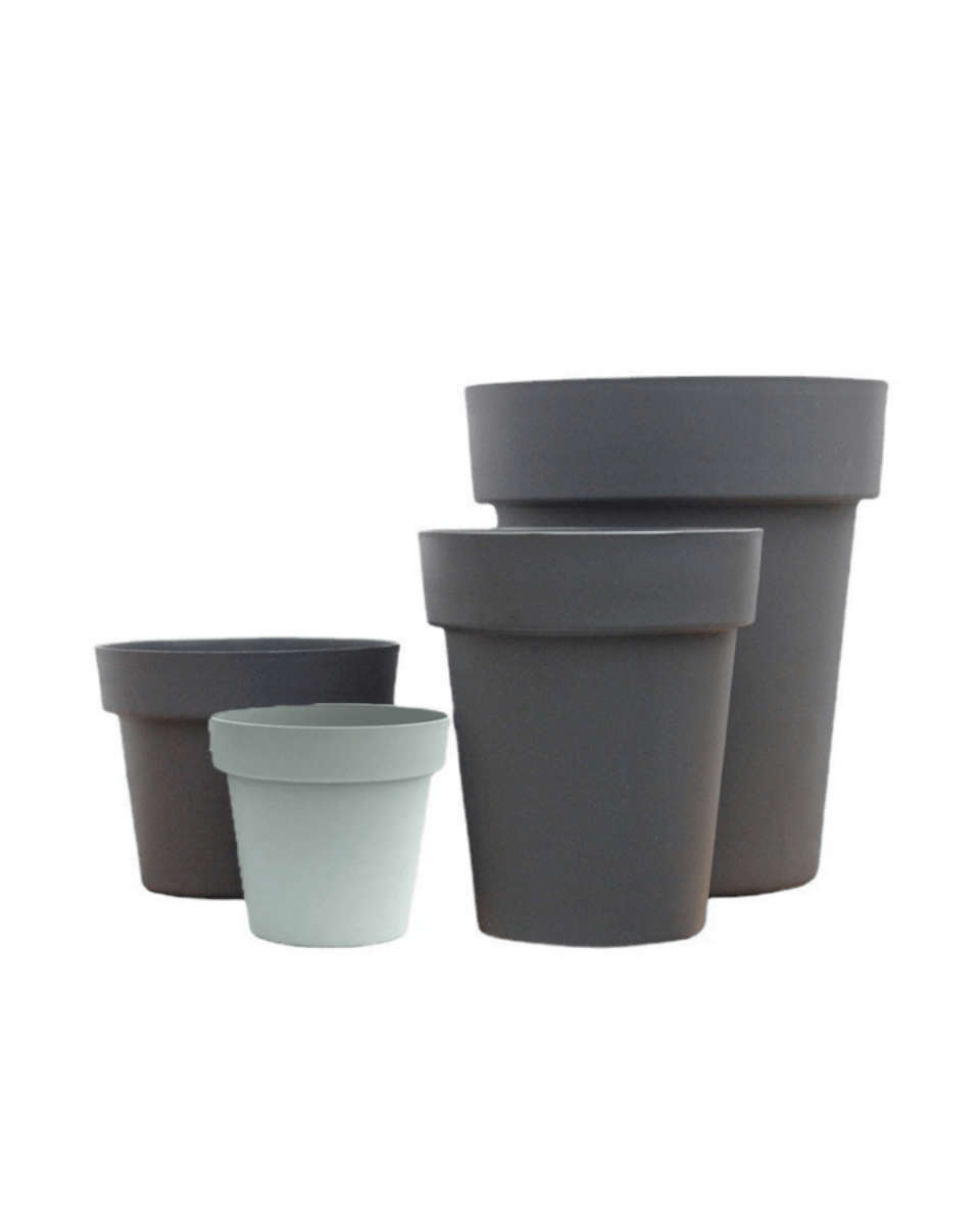 GAL Plastic Pots - Large - Pots - 5448654919104 - 01 - Tumbleweed Plants - Online Plant Delivery Singapore