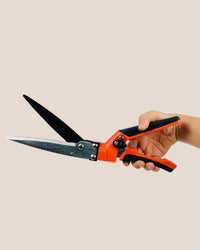 Garden Shear - Tool - Tumbleweed Plants - Online Plant Delivery Singapore