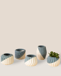 Geometric Mini Pots Grey and White - A - Pots - Tumbleweed Plants - Online Plant Delivery Singapore